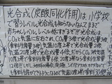 CO2(二酸化炭素)削減絶対反対!!! 地球温暖化大賛成!!! その3 CO2(二酸化炭素)削減絶対反対!!! 地球温暖化大賛成!!! その3